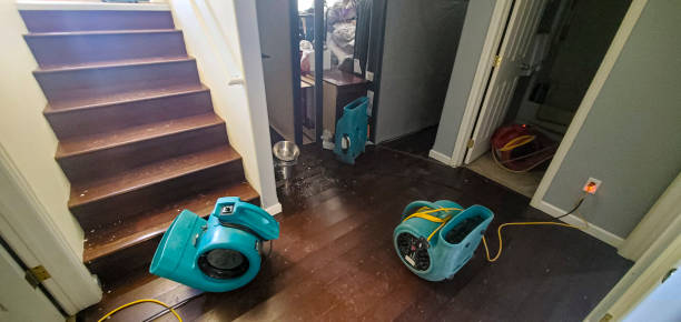 Water damage restoration experts in NJ