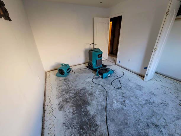 Best Local water damage restoration  in Wildwood, NJ