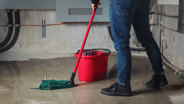 Best 24-hour water damage restoration  in Wildwood, NJ
