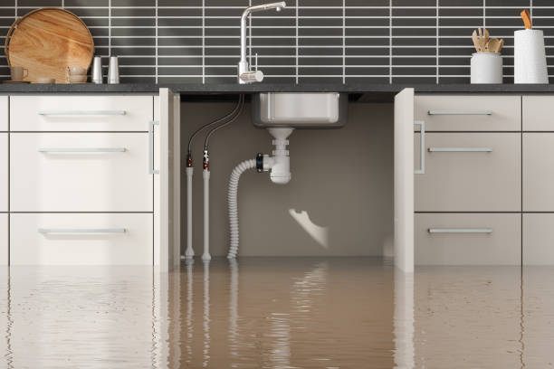 Best Commercial water damage restoration  in Wildwood, NJ